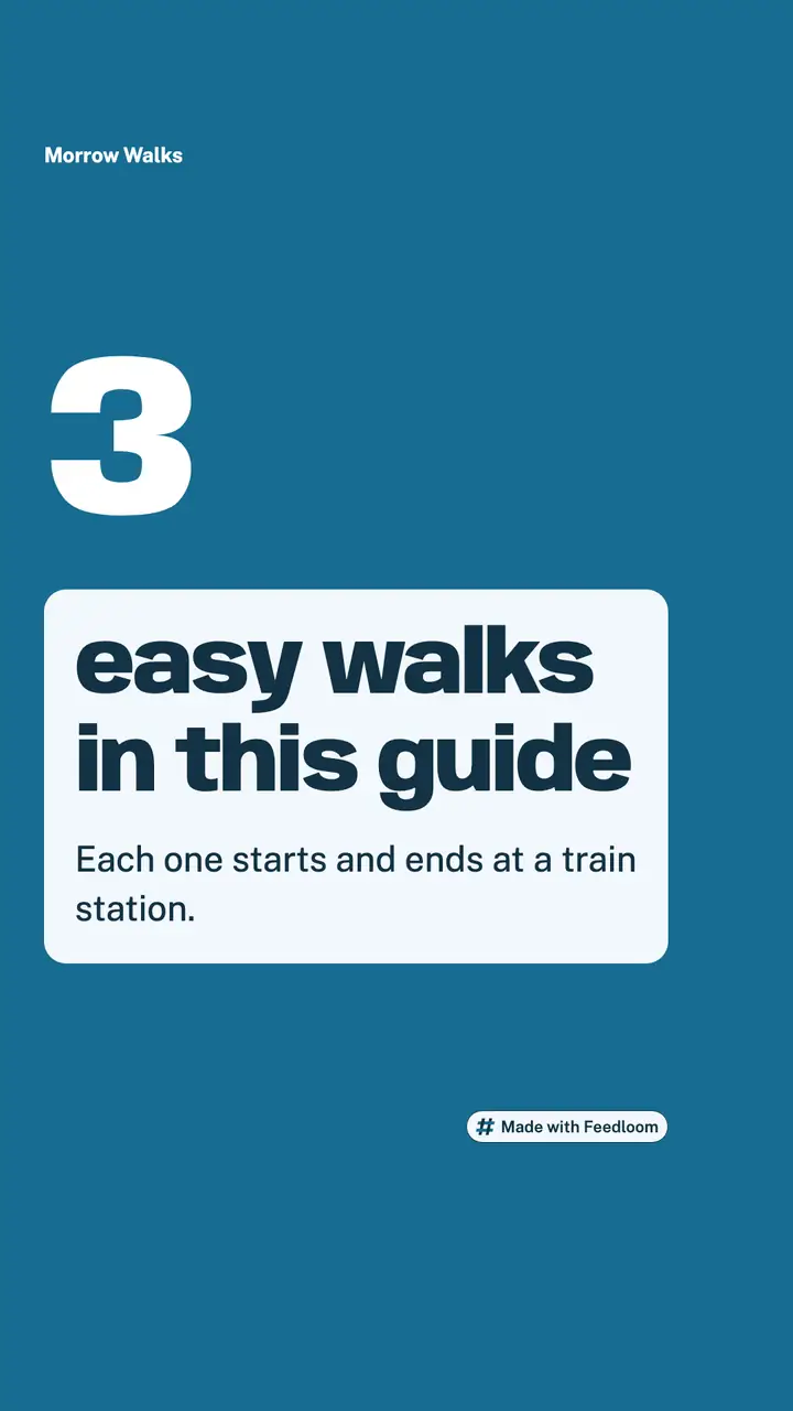 Morrow Walks (sample brand): number post, vertical 9:16, ready to publish